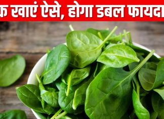 क्या आप कर रहे हैं पालक का सही से सेवन? इन 5 फूड कॉम्बिनेशन के साथ खाएं ये हरा पत्ता, आयरन, विटामिंस का मिलेगा डबल डोज