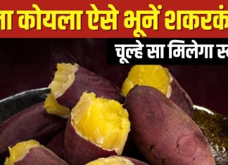 बिना कोयला-अंगीठी के इस तरह गैस पर भूने Sweet Potato, चूल्हे जैसा मिलेगा स्वाद, रोज भूनकर खाएंगे शकरकंद