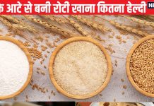हर दिन गेहूं के आटे से बनी रोटी खाना कितना हेल्दी? पौष्टिक बनाने के लिए मिलाएं इस अनाज का आटा, होंगे ढेरों लाभ