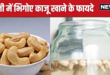 ये है काजू खाने का सही तरीका, होंगे ये 6 जबरदस्त लाभ, जानें 1 दिन में कितने cashew नट का करना चाहिए सेवन