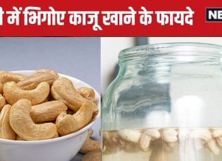 ये है काजू खाने का सही तरीका, होंगे ये 6 जबरदस्त लाभ, जानें 1 दिन में कितने cashew नट का करना चाहिए सेवन