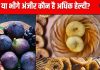 सूखे या भिगोए हुए किस तरह अंजीर खाना है अधिक फायदेमंद? 2 तरीके से इसका सेवन देगा जबरदस्त लाभ, हाई बीपी, शुगर सब रहेगा कंट्रोल