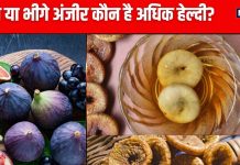 सूखे या भिगोए हुए किस तरह अंजीर खाना है अधिक फायदेमंद? 2 तरीके से इसका सेवन देगा जबरदस्त लाभ, हाई बीपी, शुगर सब रहेगा कंट्रोल