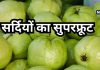 वेट लॉस से लेकर डायबिटीज तक का इलाज है अमरूद, सर्दियों के इस खास फल में है बहुत ताकत, स्किन भी बनेगी चमकदार