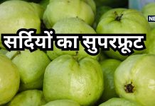 वेट लॉस से लेकर डायबिटीज तक का इलाज है अमरूद, सर्दियों के इस खास फल में है बहुत ताकत, स्किन भी बनेगी चमकदार
