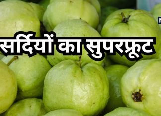 वेट लॉस से लेकर डायबिटीज तक का इलाज है अमरूद, सर्दियों के इस खास फल में है बहुत ताकत, स्किन भी बनेगी चमकदार
