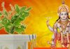 Tulsi Ke Niyam: तोड़ना तो दूर इस दिन छुएं भी नहीं तुलसी का पौधा, नहीं तो तरस जाएंगे सुख समृद्धि के लिए! जानें नियम