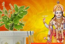 Tulsi Ke Niyam: तोड़ना तो दूर इस दिन छुएं भी नहीं तुलसी का पौधा, नहीं तो तरस जाएंगे सुख समृद्धि के लिए! जानें नियम