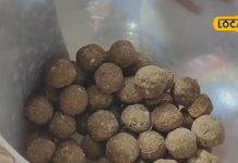 सर्दियों में घर पर बनाएं अलसी के लड्डू, स्वाद में लाजवाब…डायबिटीज करेंगे ठीक, बनाएंगे शक्तिशाली!