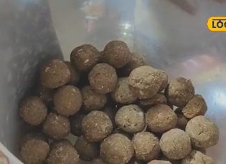 सर्दियों में घर पर बनाएं अलसी के लड्डू, स्वाद में लाजवाब…डायबिटीज करेंगे ठीक, बनाएंगे शक्तिशाली!