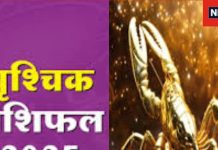 Scorpio Annual Horoscope 2025: वृश्चिक राशिवाले स्वास्थ्य का रखें ध्यान, प्रेम संबंधों में रहें सतर्क! पढ़ें नए साल का राशिफल