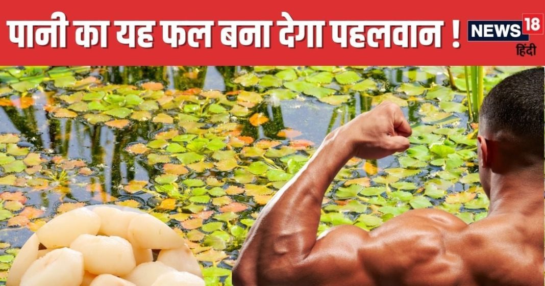 Singhara Health Benefits: कलियुग में वरदान है पानी से निकलने वाला यह फल, शरीर में भर देगा घोड़े जैसी ताकत ! 50 रुपये में भर लाएं थैला