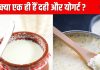 दही VS योगर्ट, क्या इन दोनों में होता है कोई अंतर? जान लें ये 5 फर्क, खरीदते समय नहीं होगी कंफ्यूजन