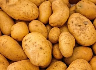 आलू क्यों है सब्जियों का राजा? इस दिक्कत से हैं परेशान तो जरूर करें इसका सेवन, फायदे जान दंग रह जाएंगे आप