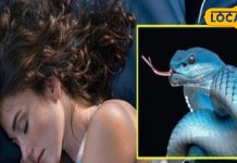 अगर सपने में दिखा है इस रंग का सांप, तो समझो चमक गई किस्मत, बंद पड़ा व्यापार..