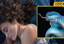 आपको भी आता है मरे सांप का सपना? जानें शुभ या अशुभ