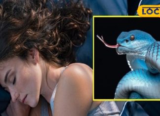 आपको भी आता है मरे सांप का सपना? जानें शुभ या अशुभ