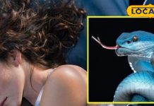 आपको भी सपने में दिखता है मरा हुआ सांप, हो सकता है बड़ा बदलाव