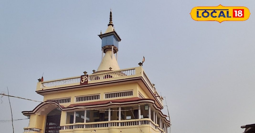 आलू के खेत में उगने लगी नाग जैसी सरसों, फिर शुरू हुआ सरसोईया बाबा का चमत्कार!