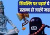 इन 7 चीजों से करें शिवलिंग का अभिषेक, प्रसन्न हो जाएंगे देवो के देव महादेव, संतान प्राप्ति के लिए चढ़ाएं ये चीज