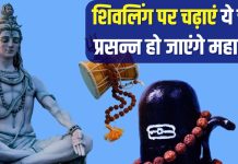 इन 7 चीजों से करें शिवलिंग का अभिषेक, प्रसन्न हो जाएंगे देवो के देव महादेव, संतान प्राप्ति के लिए चढ़ाएं ये चीज