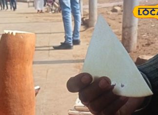 इस फल को खाकर भागवान श्री राम ने बिताया था अपना वनवास, पेट के लिए रामबाण