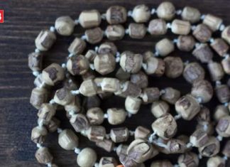 इस माला को धारण करते ही बनने लगेंगे बिगड़े काम, श्रीहरि का मिलेगा आशीर्वाद, स्पीड पकड़ लेगी नौकरी और व्यापार!