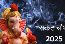 कब है सकट चौथ? इस दिन दान करें ये चीजें, घर आएगी सुख-समृद्धि