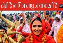 क्यों इन महिला साधुओं को कहा जाता है 'नागिन', क्या करती हैं अपने अखाड़ों में