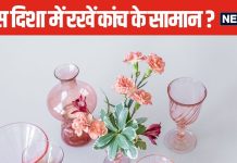 घर की किस दिशा में रखें डेकोरेटिव आइटम्स? कांच की वस्तुएं रखते हैं तो जान लें वास्तु के ये खास नियम, किससे है इसका संबंध
