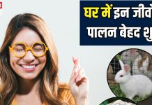 घर में जरूर पाल लें ये 5 शुभ जीव, दिन दूनी-रात चौगुनी होने लगेगी तरक्की, हमेशा पैसों से भी भरी रहेगी जेब!