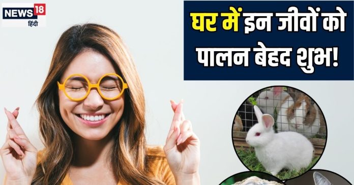 घर में जरूर पाल लें ये 5 शुभ जीव, दिन