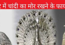 घर में रखें चांदी का मोर, सौभाग्य में वृद्धि के साथ खुलेंगे लक्ष्मी प्राप्ति के द्वार