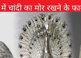 घर में रखें चांदी का मोर, सौभाग्य में वृद्धि के साथ खुलेंगे लक्ष्मी प्राप्ति के द्वार