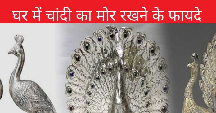 घर में रखें चांदी का मोर, सौभाग्य में वृद्धि के
