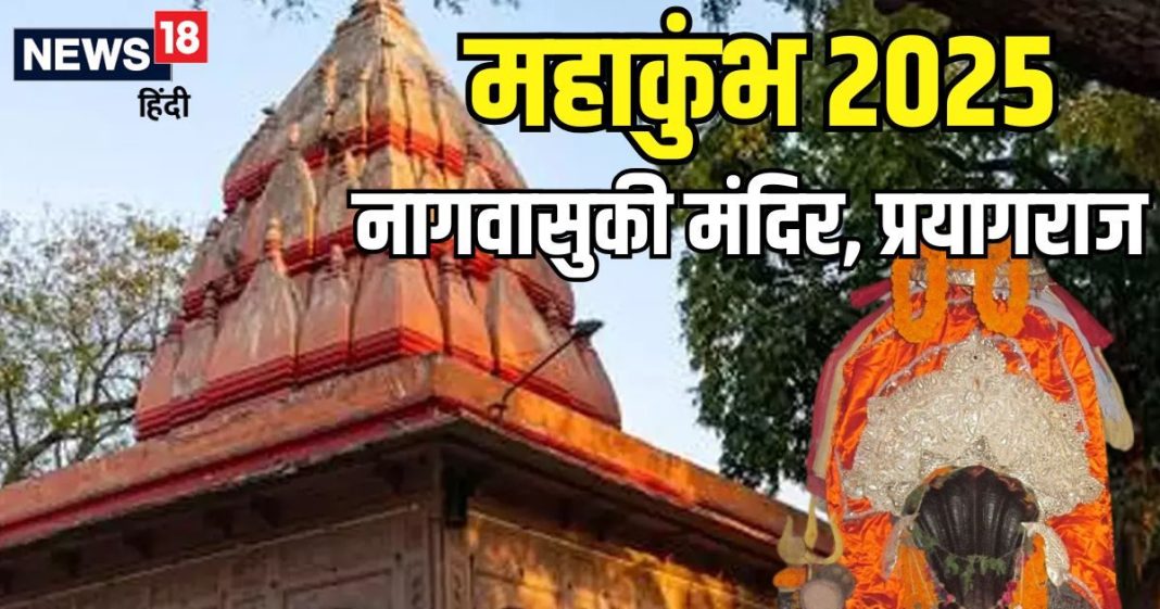 जिस सांप से हुआ था समुद्र मंथन, यहां है उसका भव्य मंदिर, कुंभ जाएं तो जरूर करें दर्शन! वरना अधूरी रह जाएगी यात्रा