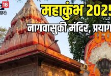 जिस सांप से हुआ था समुद्र मंथन, यहां है उसका भव्य मंदिर, कुंभ जाएं तो जरूर करें दर्शन! वरना अधूरी रह जाएगी यात्रा