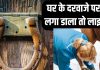 बिना किसी के टोके चुपके से दरवाजे पर लगा दें ये चीज, जीवन में होगा बड़ा चमत्कार, दौलत से भर जाएगी तिजोरी!