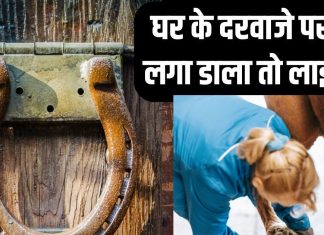 बिना किसी के टोके चुपके से दरवाजे पर लगा दें ये चीज, जीवन में होगा बड़ा चमत्कार, दौलत से भर जाएगी तिजोरी!