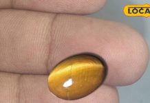 भाग्य नहीं दे रहा है साथ, तो आज ही धारण करें ये चमत्कारी रत्न, चमक उठेगी किस्मत, खत्म हो जाएगा आर्थिक संकट