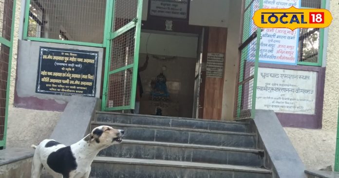 महादेव के इस अनोखे मंदिर का अद्भुत है नजारा, यहां