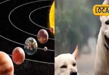 मालामाल होना चाहते हैं तो सिर्फ इस ग्रह को कर लें प्रसन्न, हरिद्वार के ज्योतिषी ने बताए 3 खास उपाय