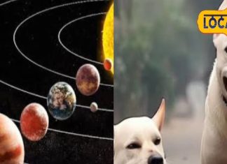 मालामाल होना चाहते हैं तो सिर्फ इस ग्रह को कर लें प्रसन्न, हरिद्वार के ज्योतिषी ने बताए 3 खास उपाय