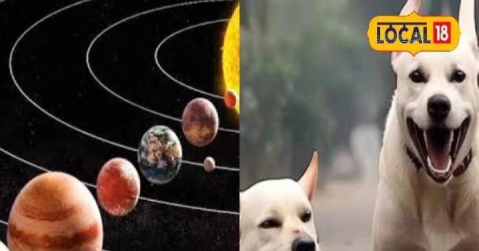 मालामाल होना चाहते हैं तो सिर्फ इस ग्रह को कर