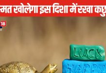 मेटल, लकड़ी या क्रिस्टल कछुआ हर एक का है अलग प्रभाव, घर की इस दिशा में रख दें फेंगशुई टर्टल, इसके फायदे कर देंगे हैरान