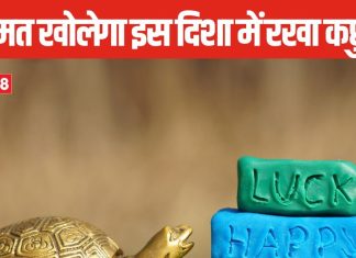 मेटल, लकड़ी या क्रिस्टल कछुआ हर एक का है अलग प्रभाव, घर की इस दिशा में रख दें फेंगशुई टर्टल, इसके फायदे कर देंगे हैरान