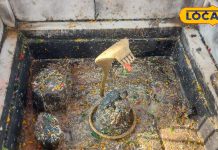 यहां 800 साल पहले करौंदे के पेड़ से निकला शिवलिंग बना आस्था का केंद्र