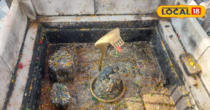 यहां 800 साल पहले करौंदे के पेड़ से निकला शिवलिंग