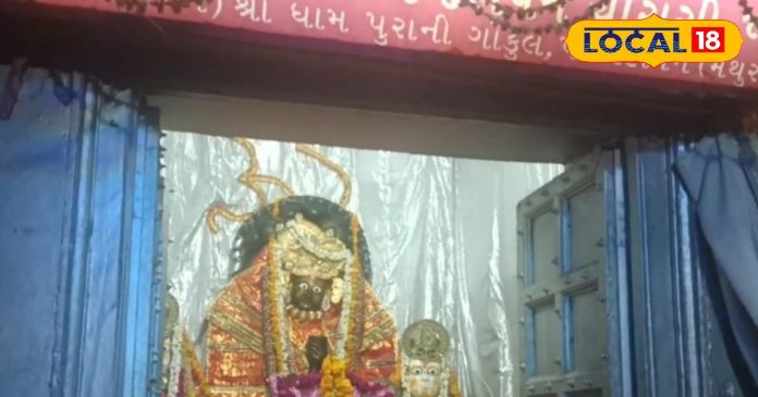 लड्डू गोपाल की सेवा करते हैं तो उनके आसपास न