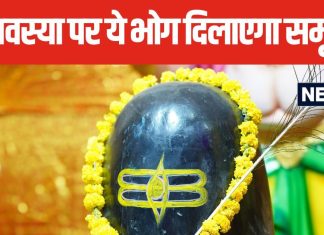 विदेश घूमने का हो सपना या फिर हो मनचाहा जीवनसाथी, हर मनोकामना होगी पूरी, अमावस्या पर लगाएं भगवान शिव को ये भोग